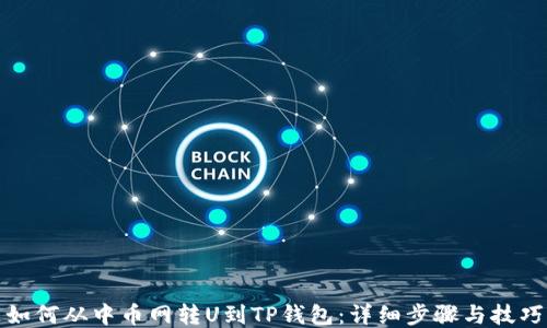 如何从中币网转U到TP钱包:详细步骤与技巧