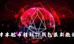 中本聪币转到TP钱包最新教程
