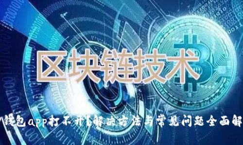 TP钱包app打不开?解决方法与常见问题全面解析