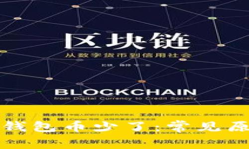 抹茶提币到TP钱包币少了:常见原因及解决方法