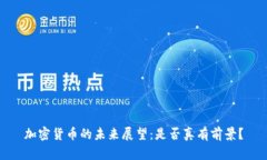 加密货币的未来展望:是否真有前景?