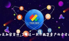 : 仓鼠加密货币:了解这一新兴数字资产的方方面