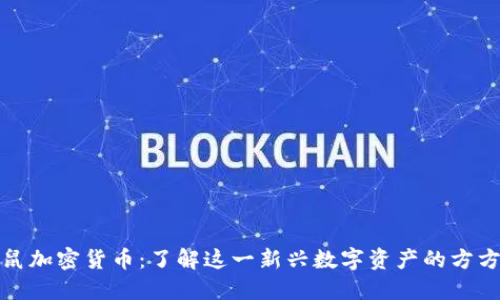 : 仓鼠加密货币:了解这一新兴数字资产的方方面面