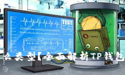 TP钱包的链是什么类型?全面解析TP钱包及其区块链技术