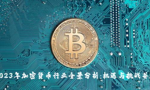 2023年加密货币行业全景分析:机遇与挑战并存
