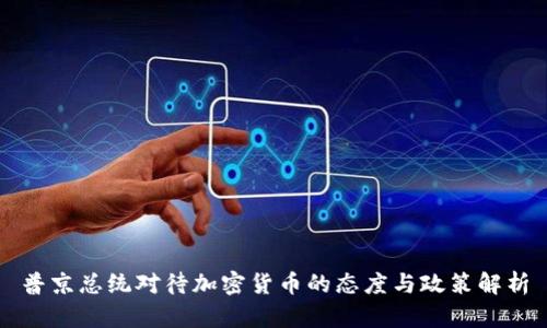 普京总统对待加密货币的态度与政策解析