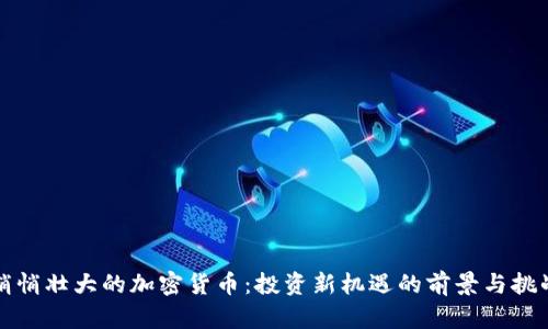悄悄壮大的加密货币:投资新机遇的前景与挑战