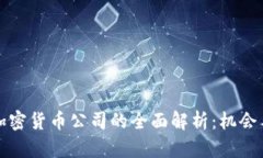 Line加密货币公司的全面解析:机会与挑战