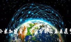 小米加密货币市值分析及未来展望