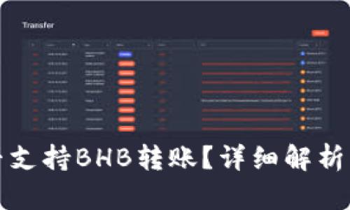 TP钱包是否支持BHB转账？详细解析与操作指南