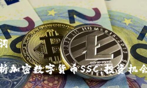 与关键词

全面解析加密数字货币SSC：投资机会与风险