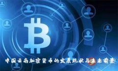 中国云南加密货币的发展现状与未来前景