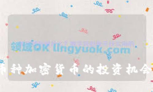 2023年小币种加密货币的投资机会与风险分析