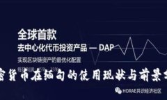 加密货币在缅甸的使用现状与前景分析