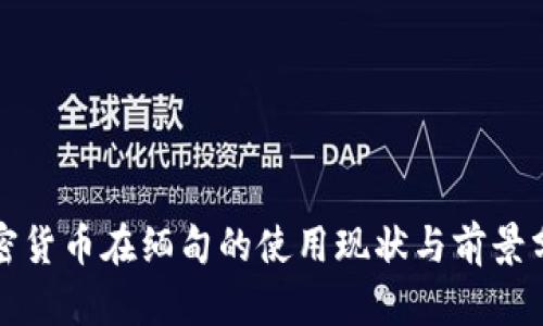 加密货币在缅甸的使用现状与前景分析
