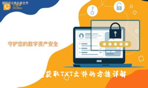 TP钱包获取TXT文件的方法详解
