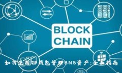 如何使用TP钱包管理BNB资产：全面指南