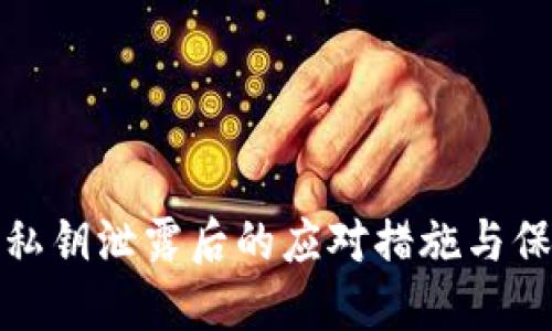 TP钱包私钥泄露后的应对措施与保护策略