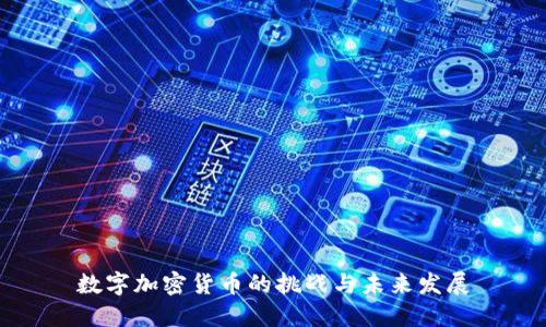 数字加密货币的挑战与未来发展