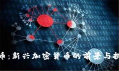 Pi币:新兴加密货币的前景与挑战