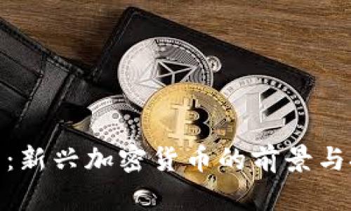 Pi币:新兴加密货币的前景与挑战