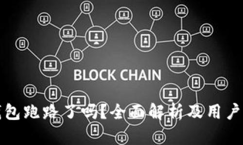 TP钱包跑路了吗?全面解析及用户指南