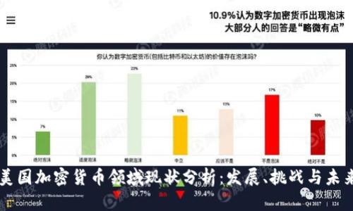 美国加密货币领域现状分析:发展、挑战与未来