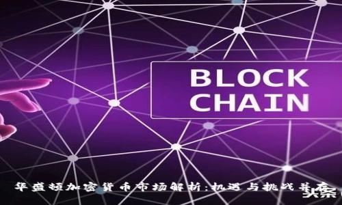 华盛顿加密货币市场解析:机遇与挑战并存