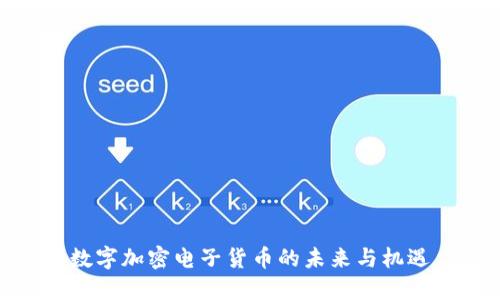 数字加密电子货币的未来与机遇