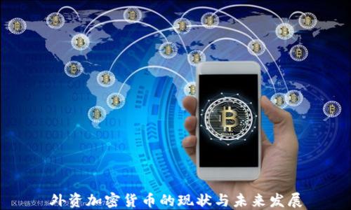 外资加密货币的现状与未来发展