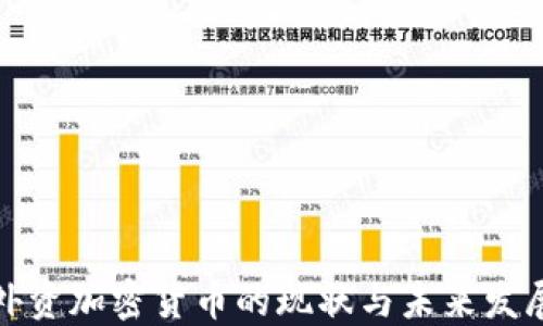 外资加密货币的现状与未来发展