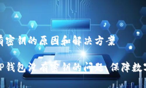 TP钱包没有密钥的原因和解决方案
如何处理TP钱包没有密钥的问题,保障数字资产安全