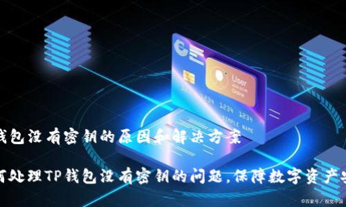 TP钱包没有密钥的原因和解决方案
如何处理TP钱包没有密钥的问题,保障数字资产安全