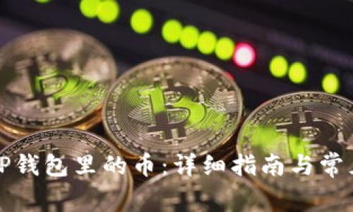 如何查看TP钱包里的币:详细指南与常见问题解答