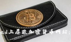 如何在iPad上屏蔽加密货币网站:全面指南