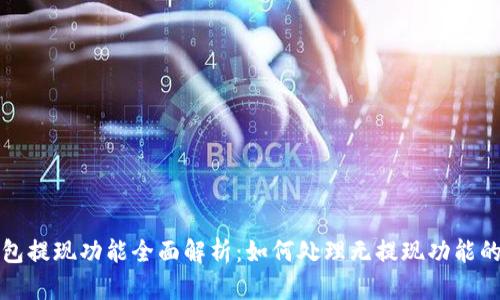 TP钱包提现功能全面解析：如何处理无提现功能的问题