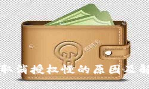 TP钱包取消授权慢的原因及解决方法