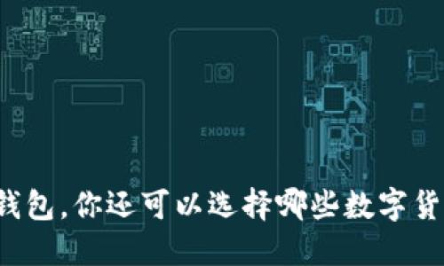 除了TP钱包,你还可以选择哪些数字货币钱包?