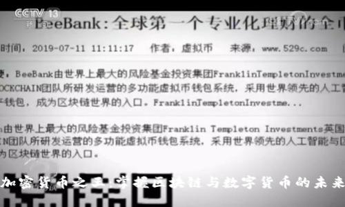 加密货币之王:掌握区块链与数字货币的未来