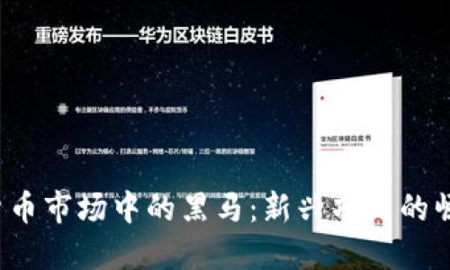 2023年加密货币市场中的黑马:新兴项目的崛起与未来展望