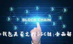 tp钱包是否支持BSC链:全面解析