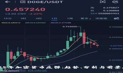 2025年加密货币反弹:趋势、分析与前景展望