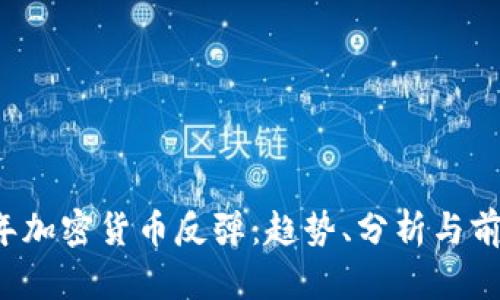 2025年加密货币反弹:趋势、分析与前景展望