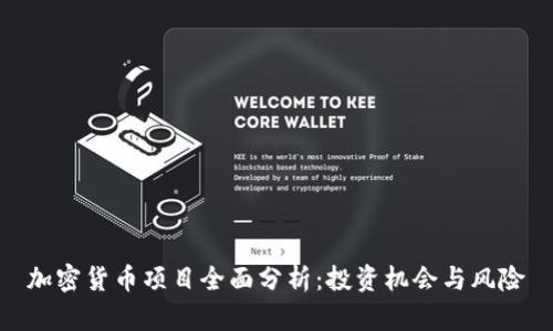 加密货币项目全面分析:投资机会与风险