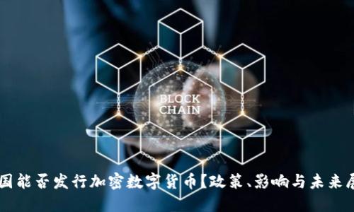 中国能否发行加密数字货币?政策、影响与未来展望