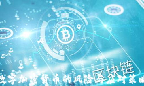 数字加密货币的风险与应对策略
