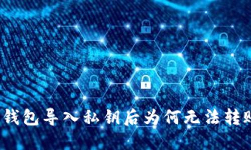 TP钱包导入私钥后为何无法转账?