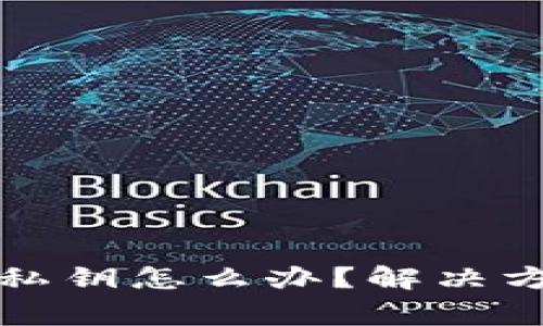 TP钱包忘记了私钥怎么办?解决方案与注意事项