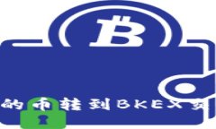 如何将TP钱包的币转到BKEX交易所:详细指南