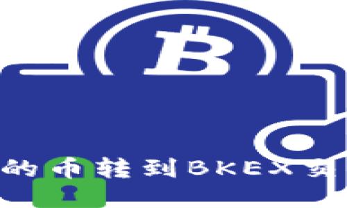 如何将TP钱包的币转到BKEX交易所:详细指南